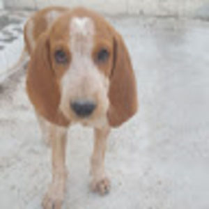 Meet your Posher, Ming-xia